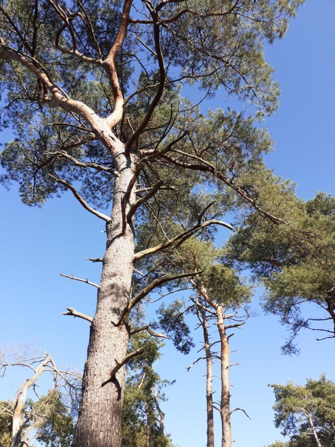 B&B Altijd Zomer Nijlen Exteriér fotografie